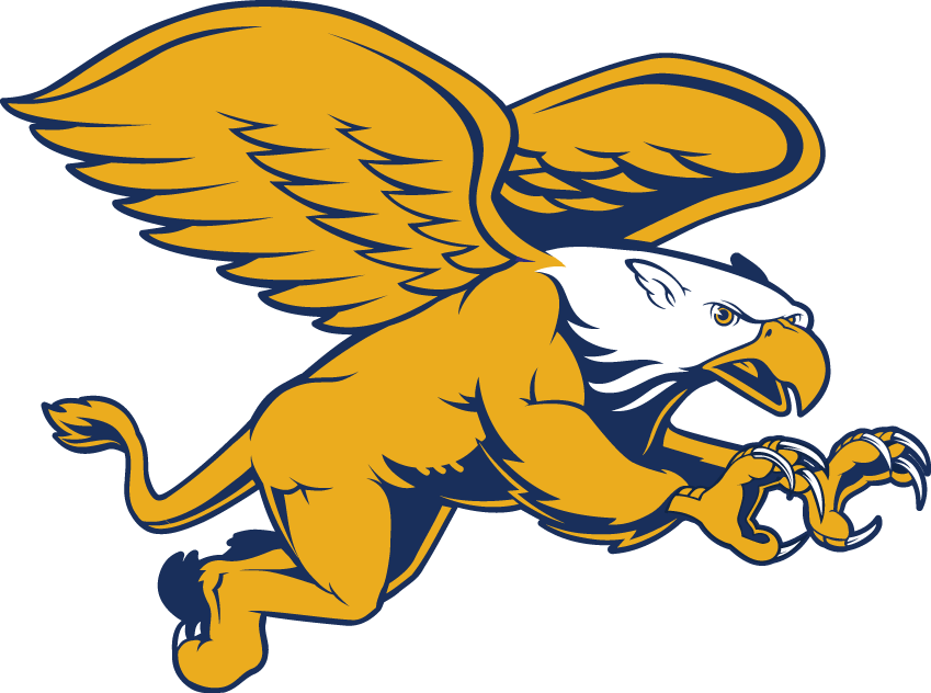 Canisius Golden Griffins 2006-Pres Secondary Logo v2 diy iron on heat transfer